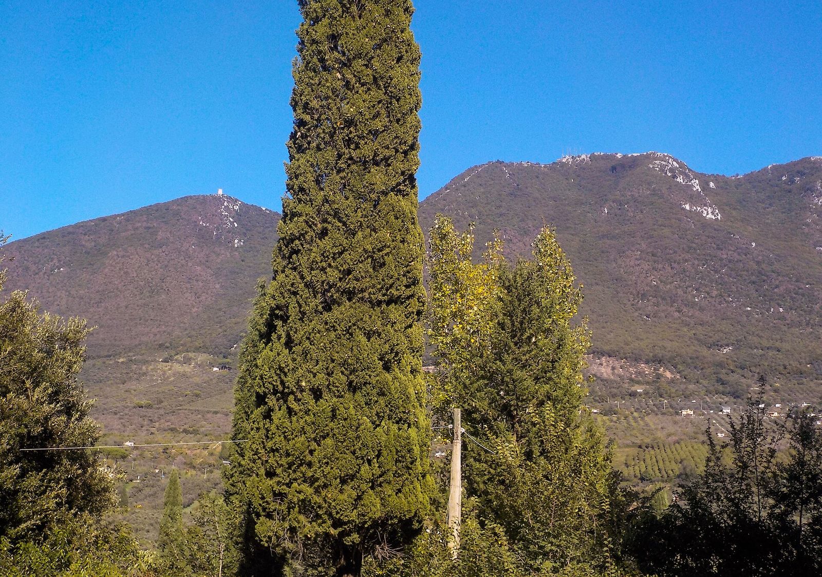 Il Monte Gennaro visto dal convento di San Francesco — Foto: Albarubescens, CC BY-SA 4.0, via Wikimedia Commons