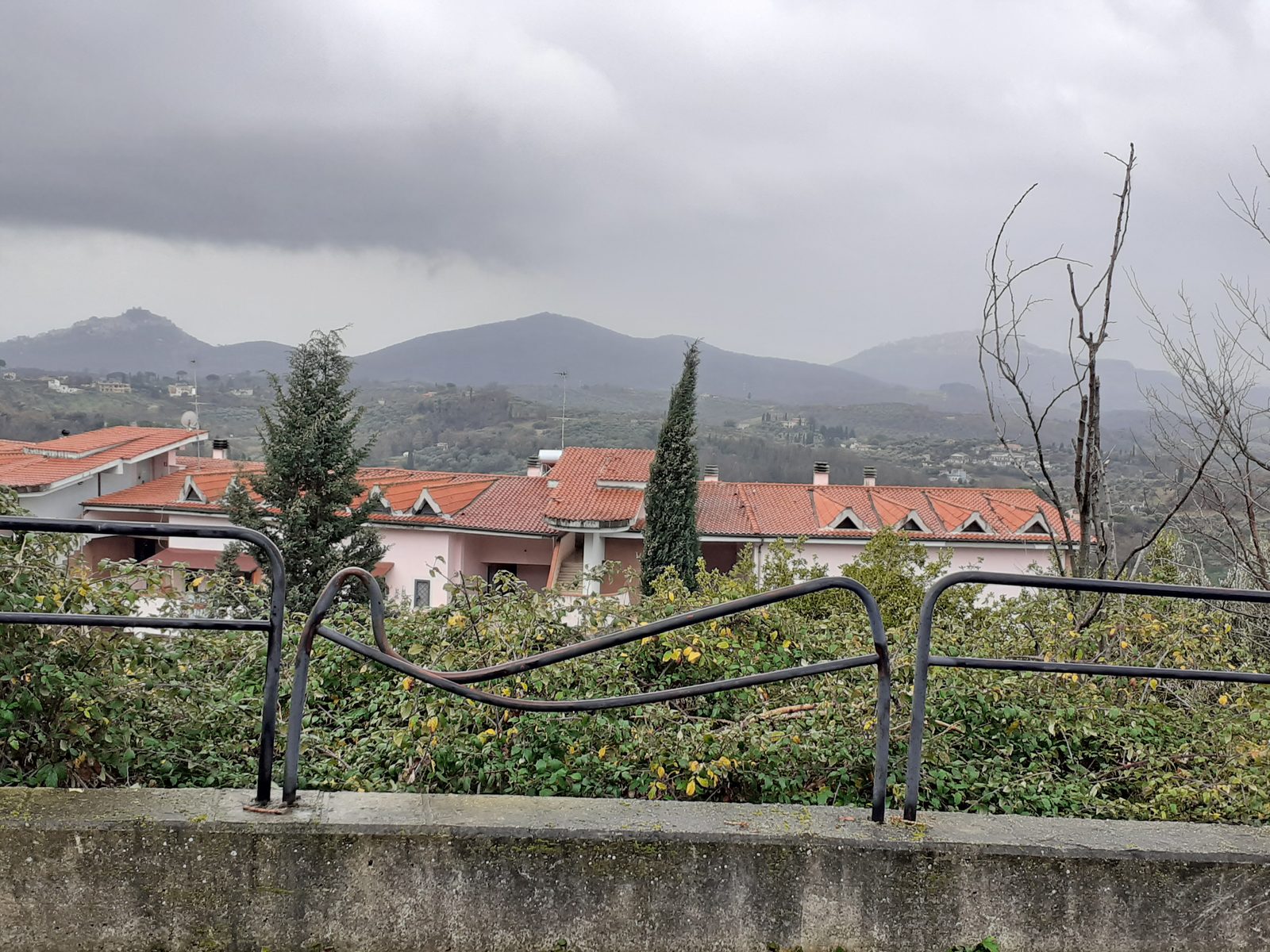 Marzolano