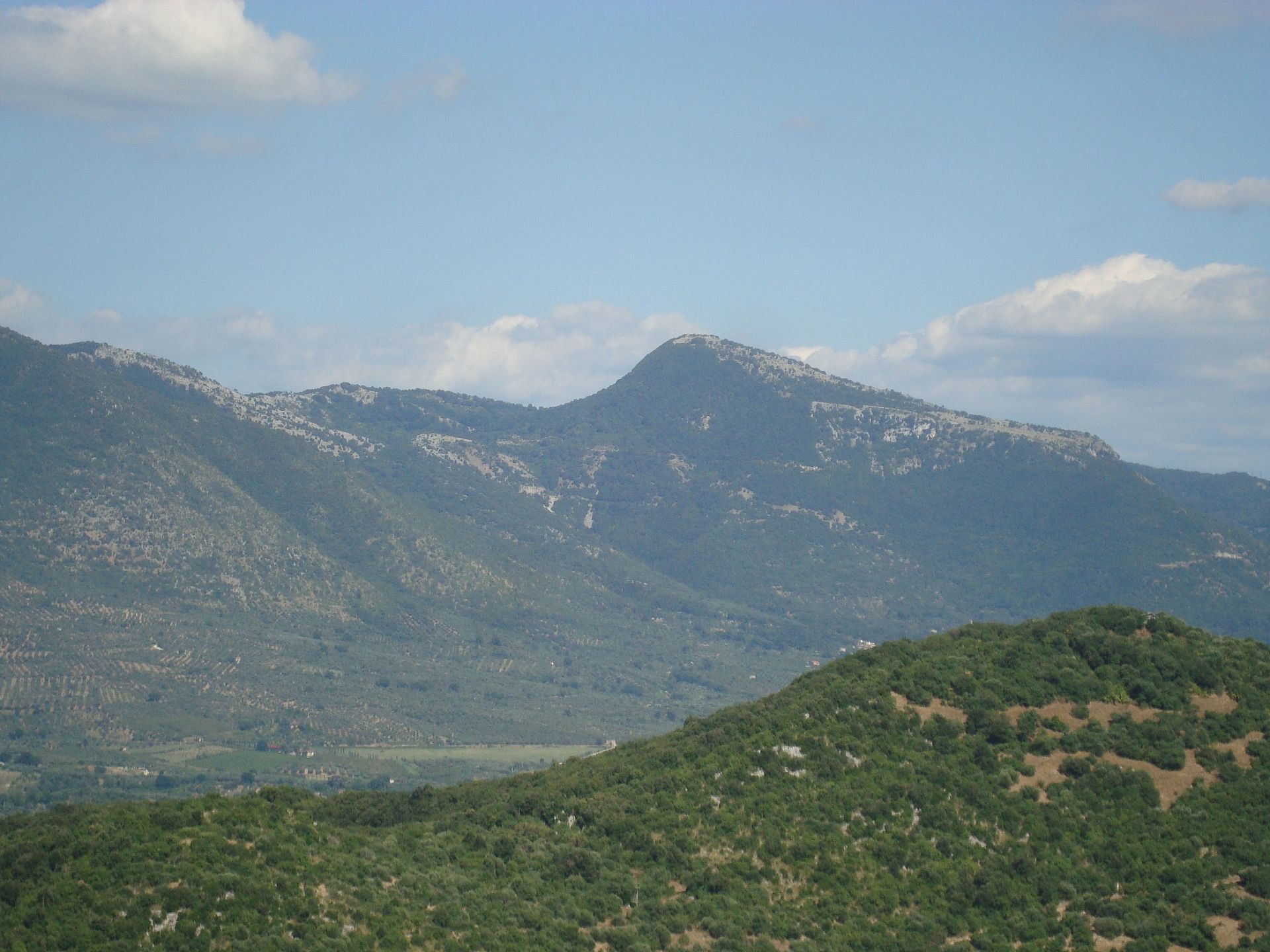 Foto: LPLT, CC BY-SA 3.0, via Wikimedia Commons