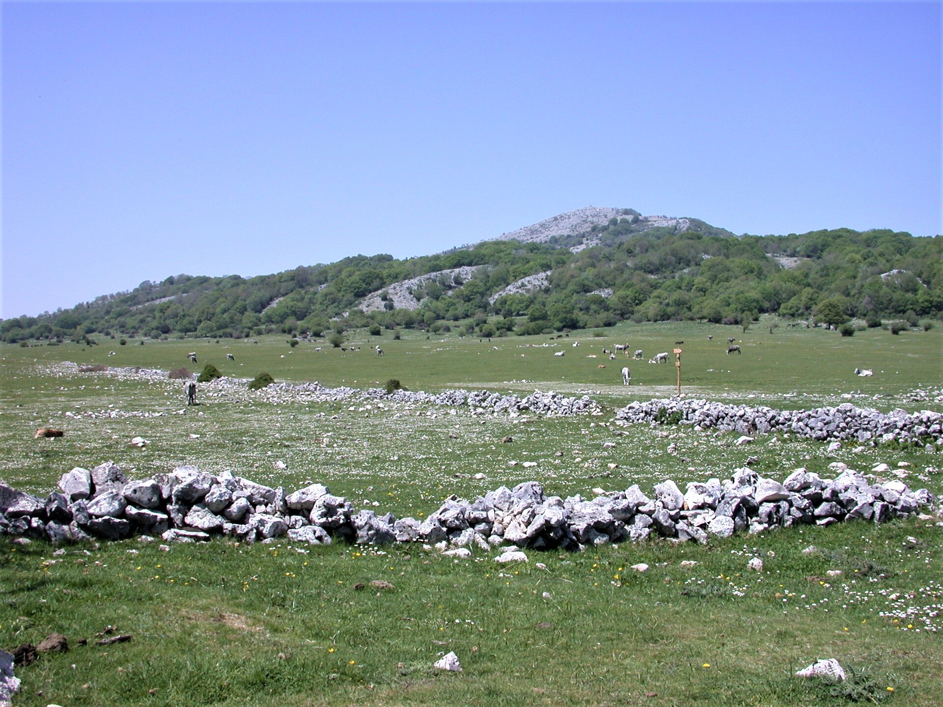 Foto: V.lattanzi, CC BY 4.0, via Wikimedia Commons